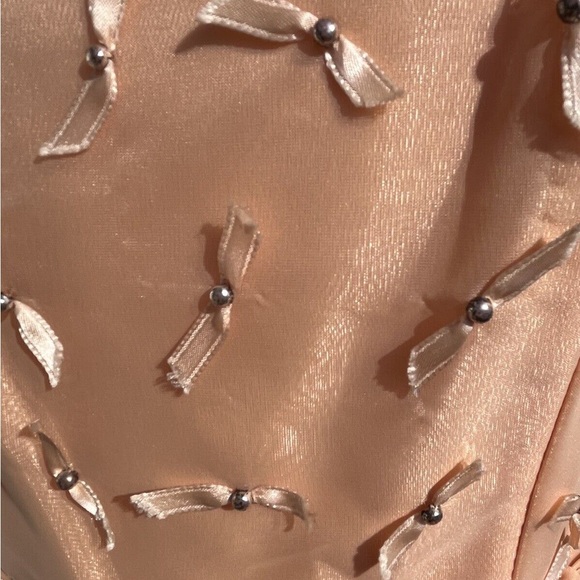 Vintage 60s Frothy Peaches & Cream Organdy Gown - Picture 3 of 8